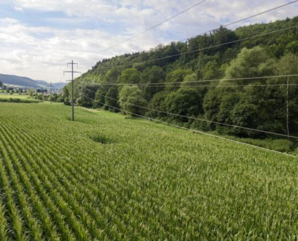 Produits d'utilisation du réseau